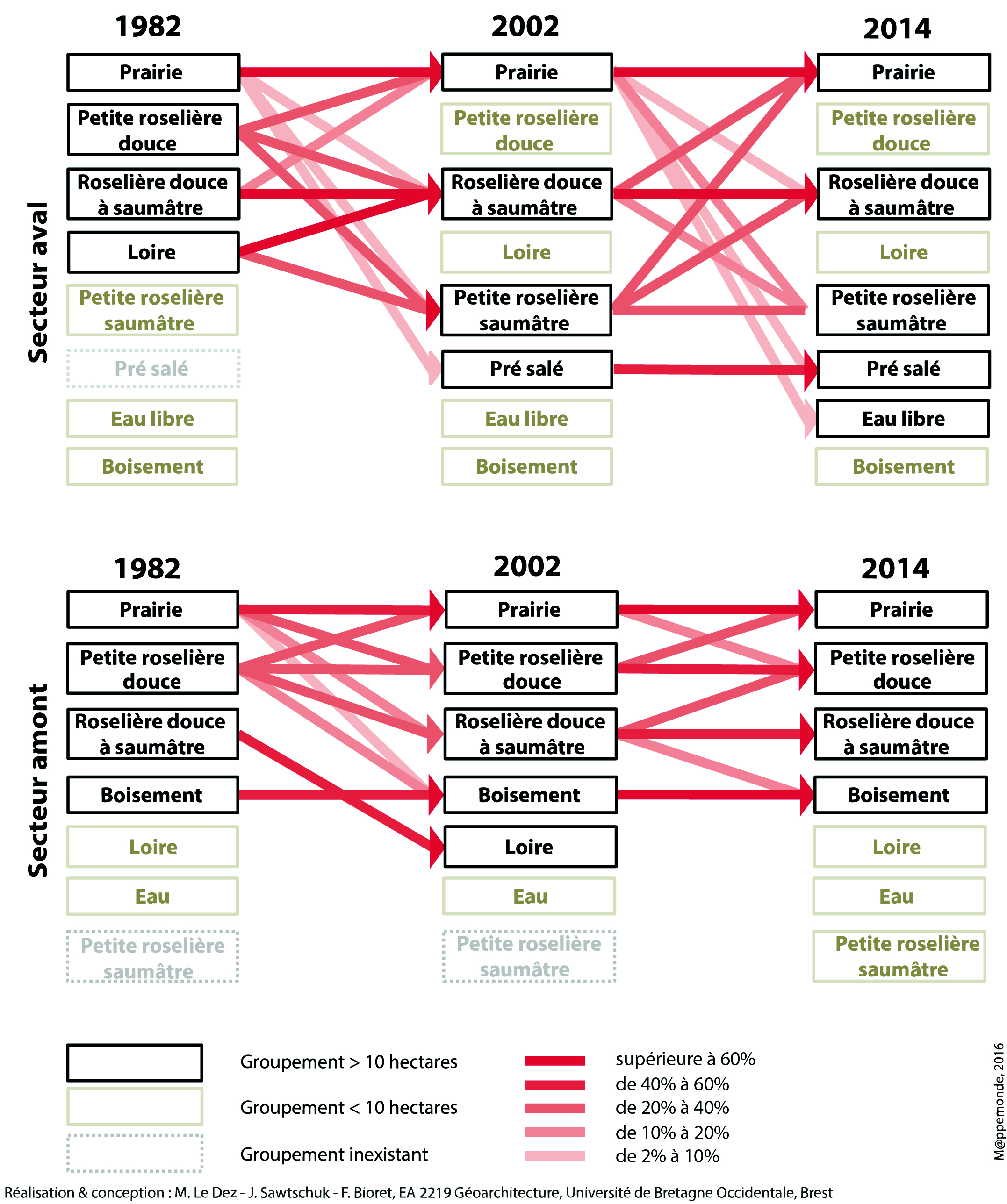 Figure 4. Représentation schématique des principales transitions sur les bords de Loire des deux secteurs d’étude entre 1982, 2002 et 2014. La taille de la flèche indique l’importance de la transition (en % de la superficie initiale du groupement). (Seules les transitions des groupements d’une superficie supérieure à 10 hectares sont représentées, ainsi que les transitions représentant plus de 5 hectares et 2% de la superficie initiale).