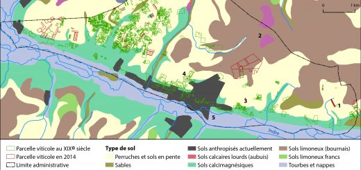 Figure 7. Sols et localisation de la vigne à Azay-le-Rideau au XIXe et XXIe siècle.